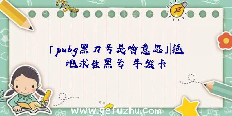 「pubg黑刀号是啥意思」|绝地求生黑号